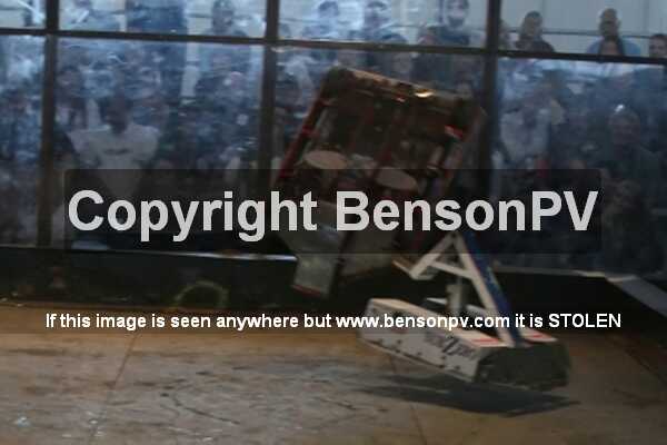 Click to See Next Image