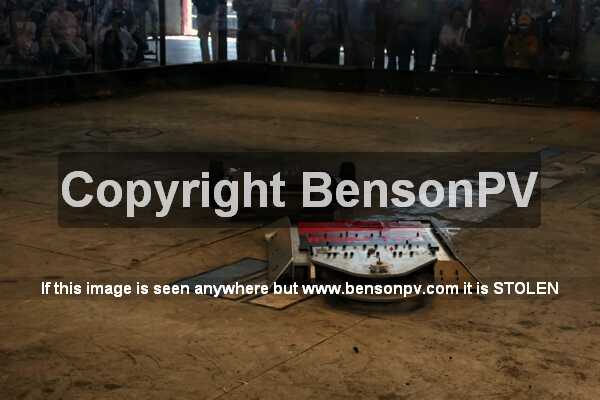 Click to See Next Image