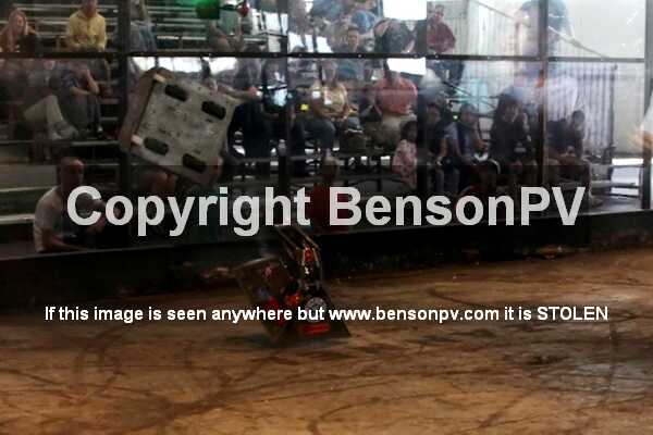 Click to See Next Image