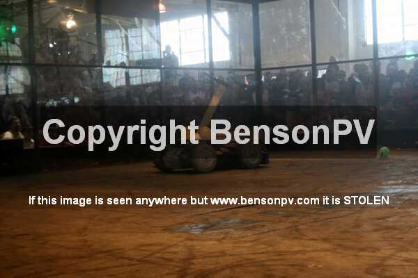 Click to See Next Image