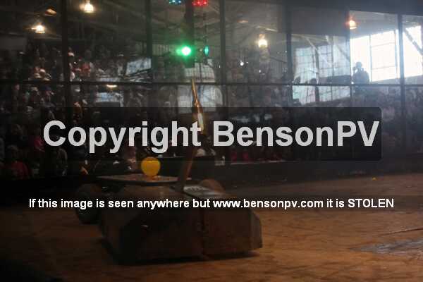 Click to See Next Image