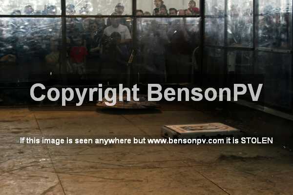 Click to See Next Image