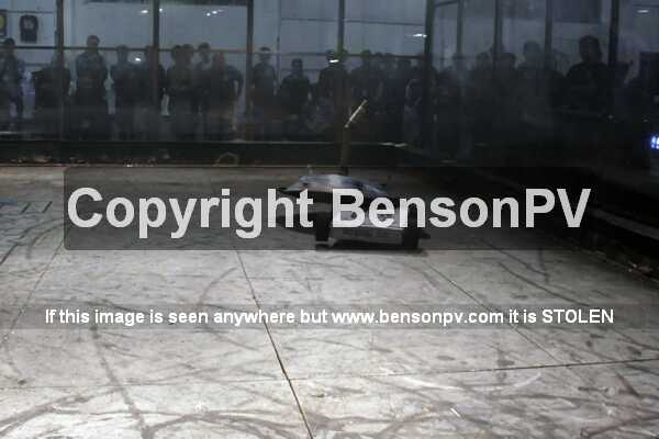 Click to See Next Image