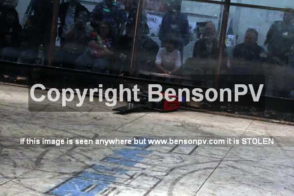 Click to See Next Image