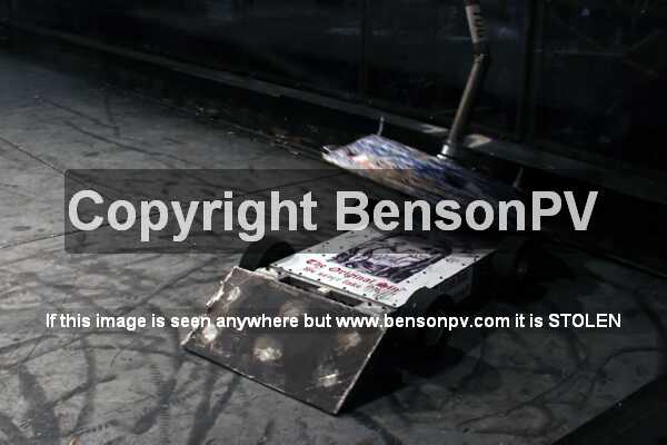 Click to See Next Image