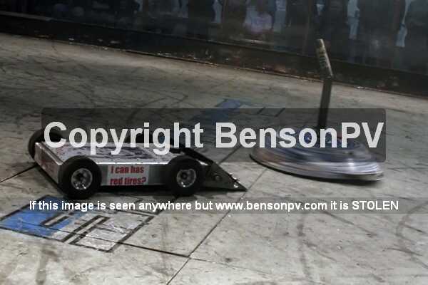 Click to See Next Image