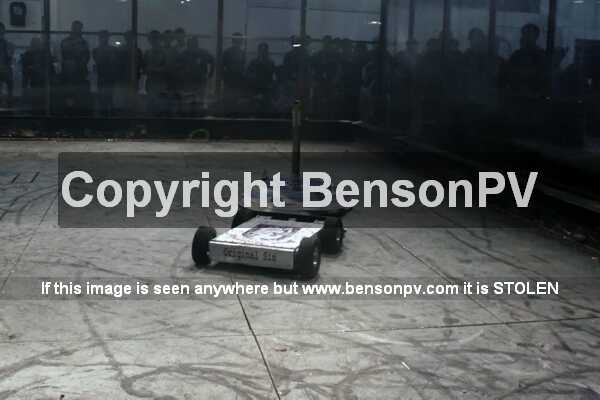 Click to See Next Image