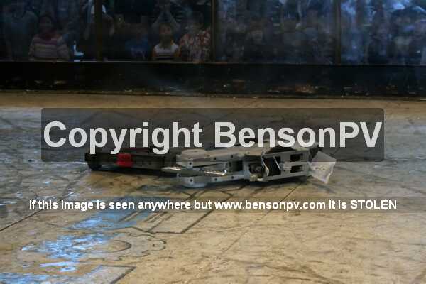 Click to See Next Image