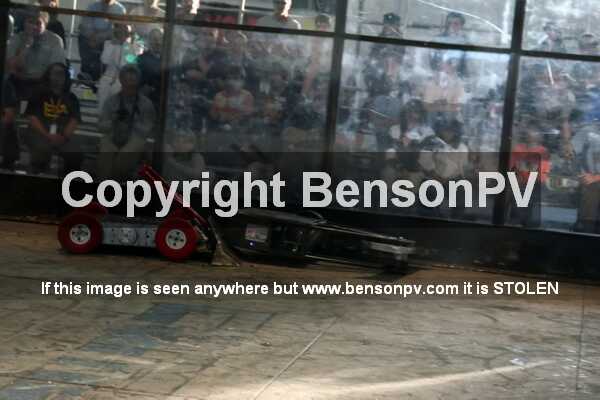 Click to See Next Image