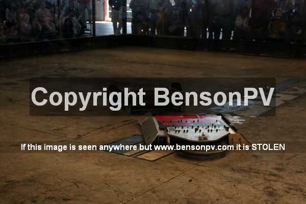 Click to See Next Image