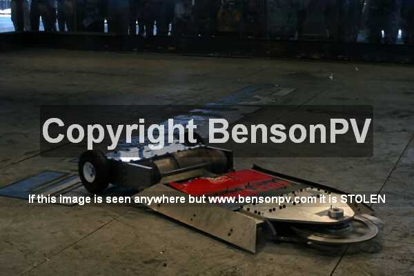 Click to See Next Image