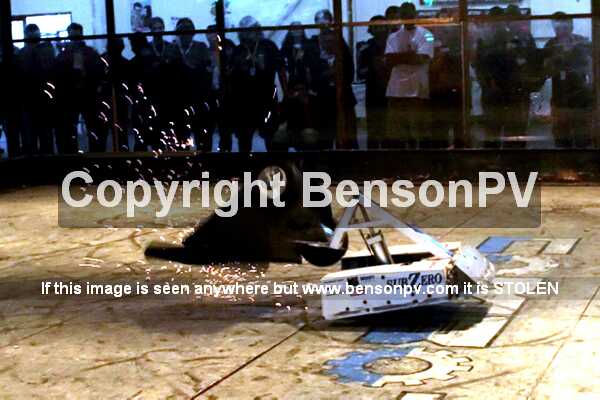 Click to See Next Image