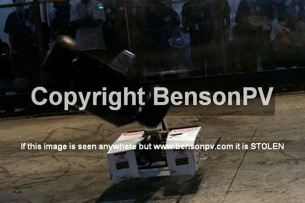 Click to See Next Image