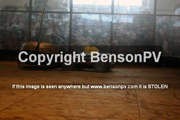 Click to See Next Image