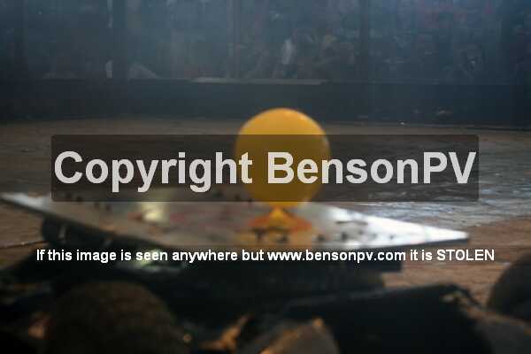 Click to See Next Image