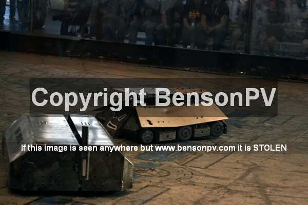 Click to See Next Image