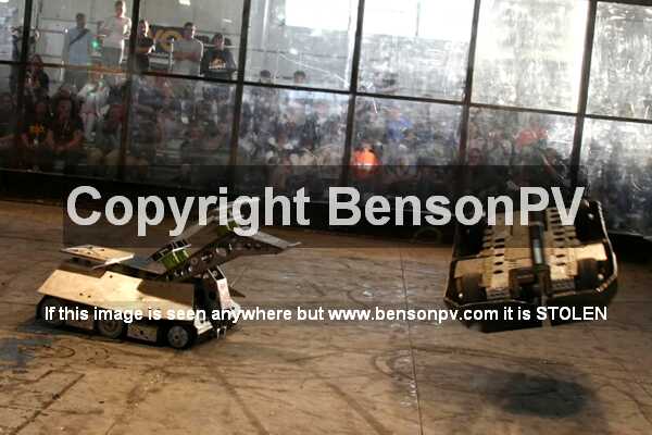 Click to See Next Image