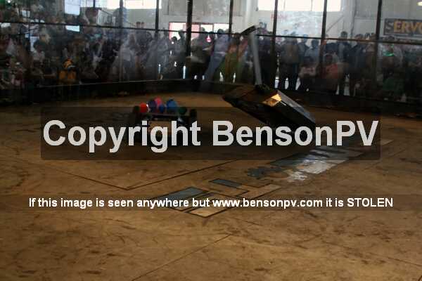 Click to See Next Image