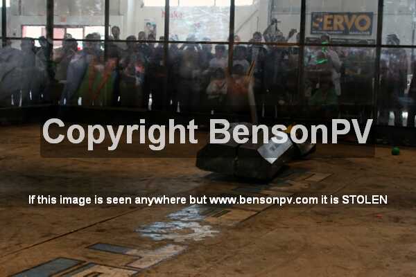 Click to See Next Image