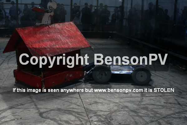 Click to See Next Image