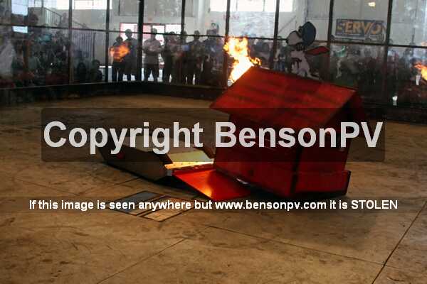 Click to See Next Image