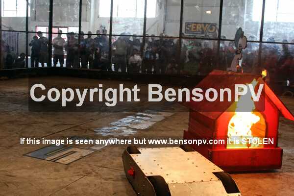 Click to See Next Image