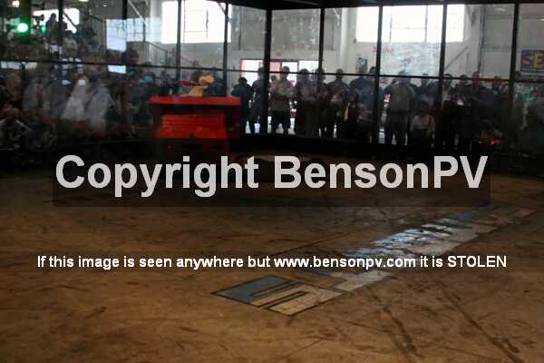 Click to See Next Image