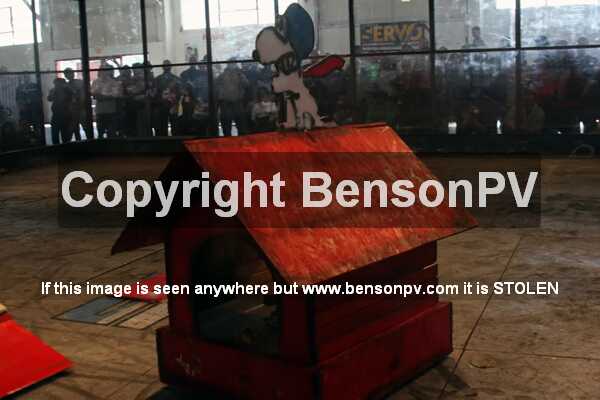 Click to See Next Image