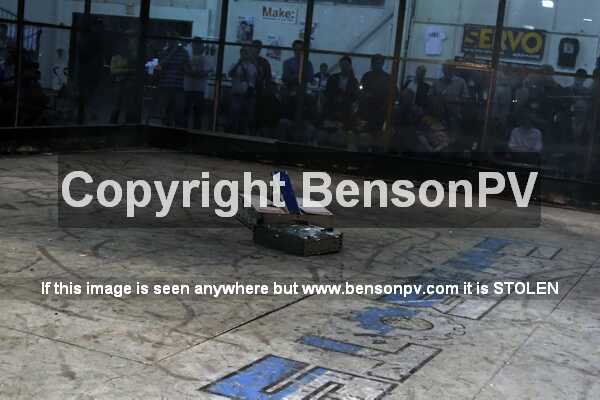 Click to See Next Image