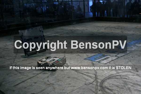 Click to See Next Image