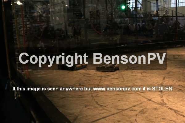 Click to See Next Image