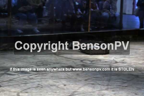 Click to See Next Image