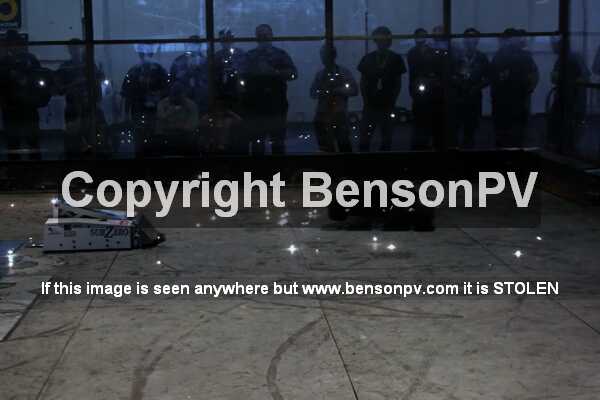 Click to See Next Image