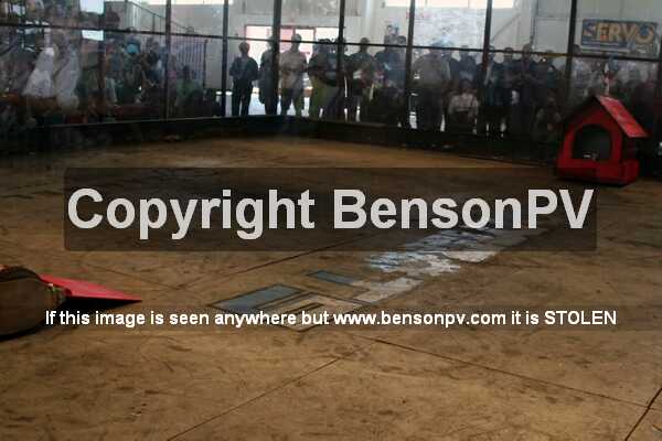 Click to See Next Image