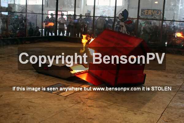 Click to See Next Image