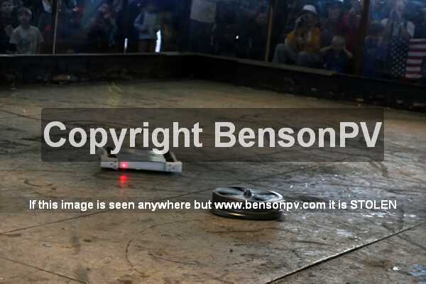 Click to See Next Image